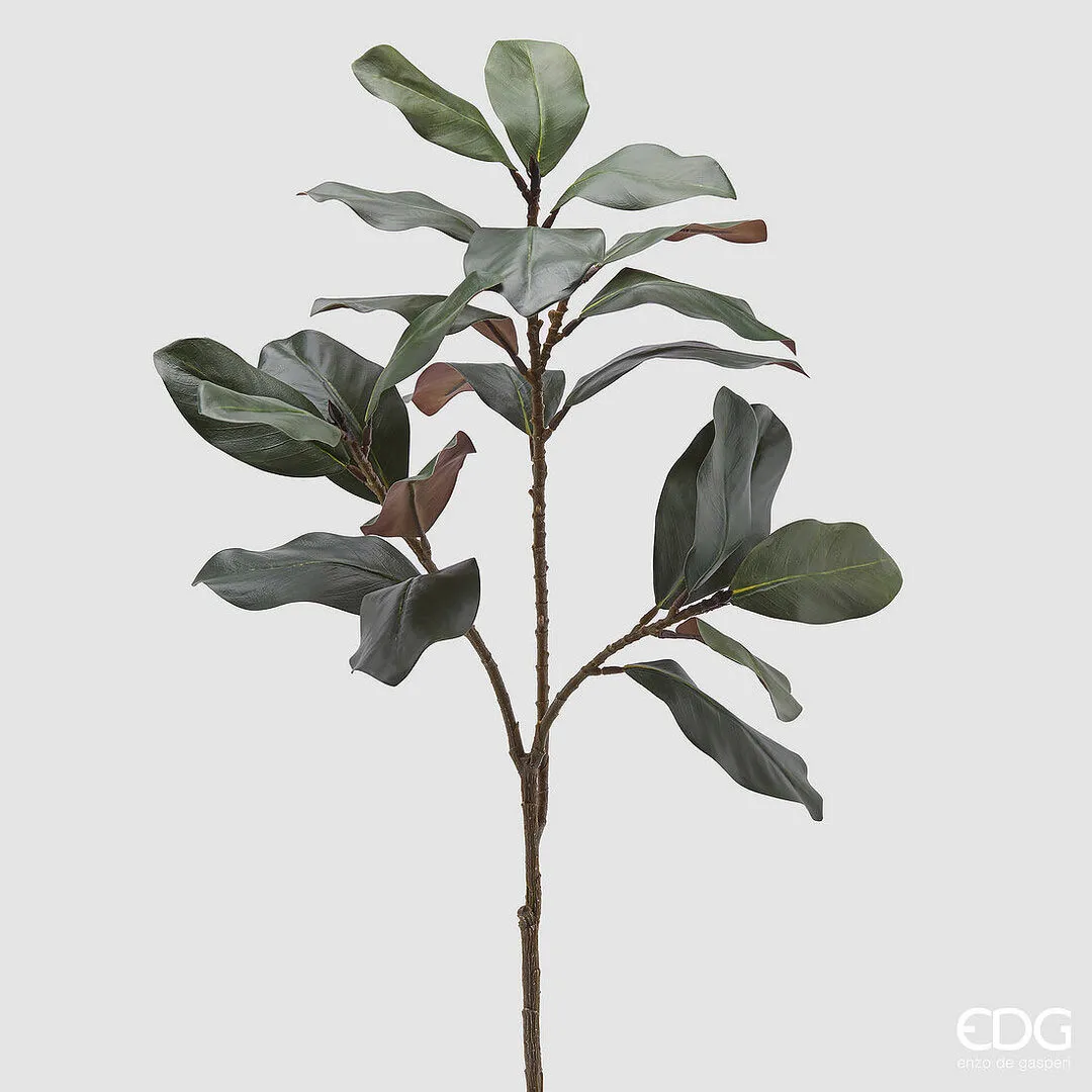 EDG - Enzo de Gasperi  Pianta artificiale Ramo di Magnolia